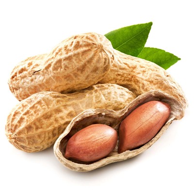 炒货与炒花生企业生产许可证代办指南——全国坚果制品行业准入解析